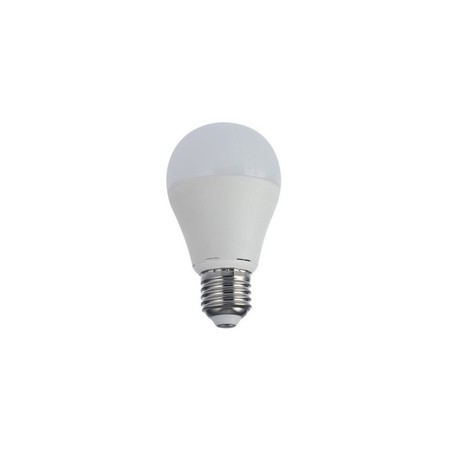 Lampadina Led 15W E27 A65