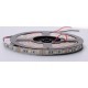 Striscia LED RGB SMD5050 12V 60LED/Mt 14.4W/Mt - 5 Metri